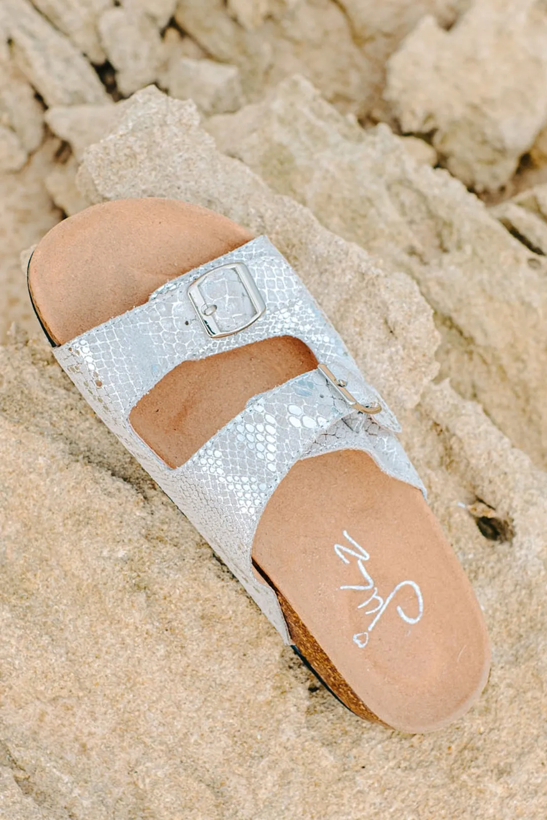 Boston Silver Snake