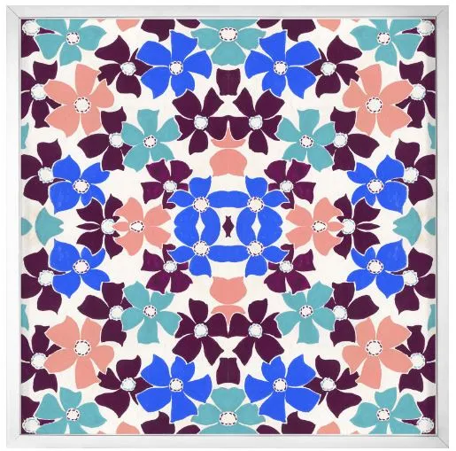Nature Kaleidoscope - Natural Curiosities