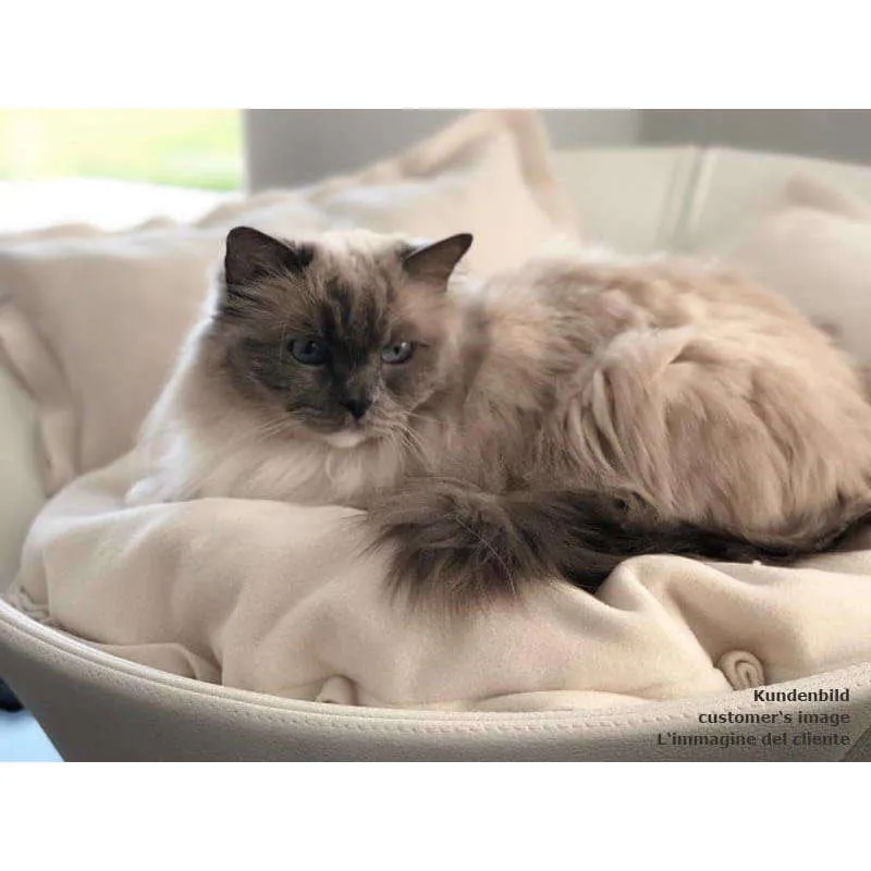 Pet Interiors Cosmo Faux Leather Deluxe Cat Bed