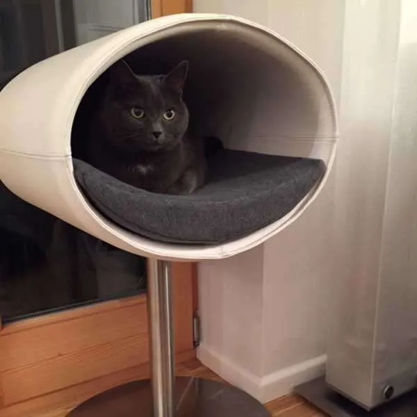 Pet Interiors Rondo Leatherette Cat Bed Stand