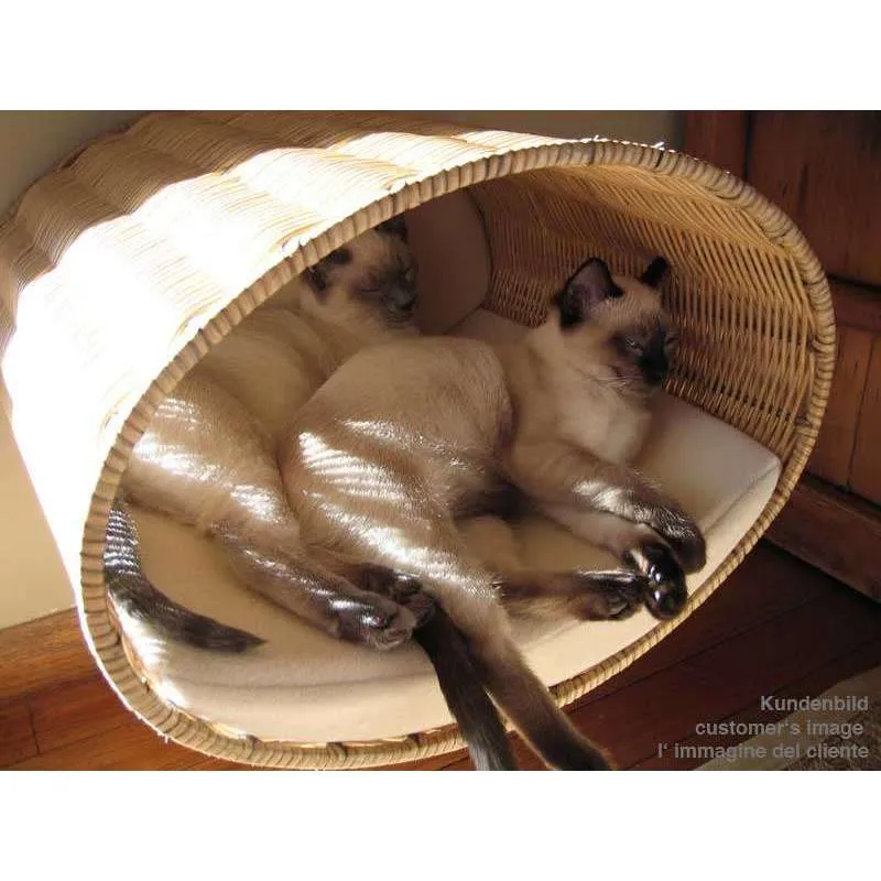 Pet Interiors Rondo Wicker Cat Wall Climber