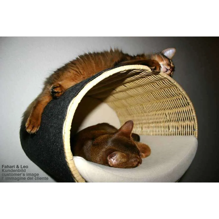 Pet Interiors Rondo Wicker Cat Wall Climber