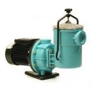 Rapid Earthco Swimming Pool Pump 0.6kW to 1.1kW