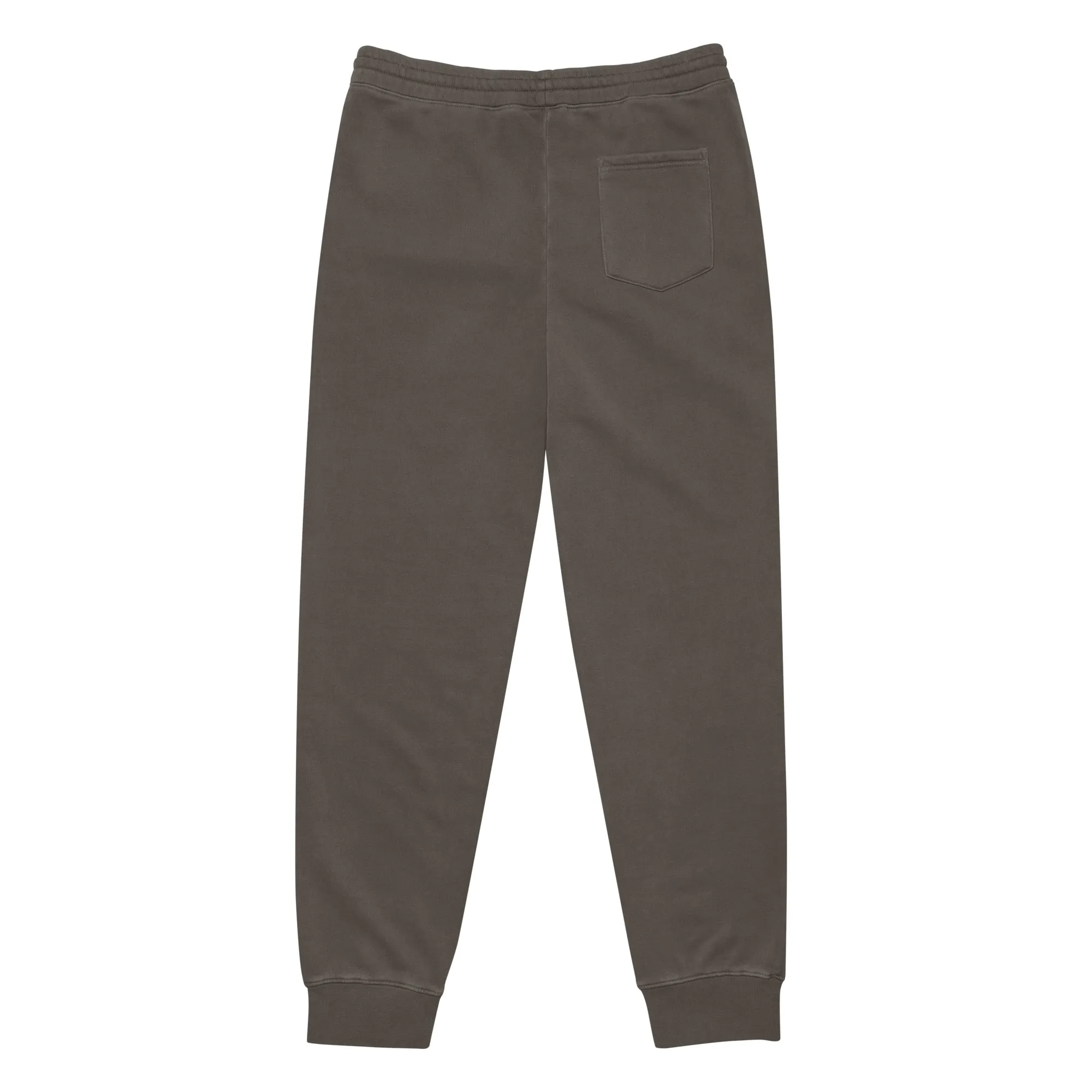 Swim Logo Pigment-Dyed Premium Unisex Sweatpant