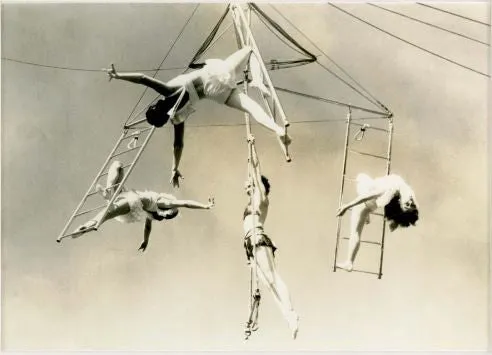 Trapeze 1 - Natural Curiosities